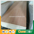 Linyi Consmos flexible plywood